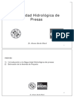 Seguridad Hidrologica de Presas PYE V3 Diapos GRANDES