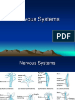 Nervous & Other Systems