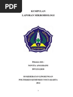 Download Kumpulan Mikrobiologi by Novita Anggraini SN193602941 doc pdf