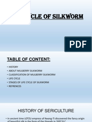 Реферат: Spring Silkworms Essay Research Paper Spring Silkworms