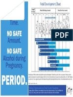 Fetal Development Chart Outline