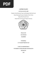 Download LAPORAN KASUS LBP linadocx by Ummu Tsabbit SN193748122 doc pdf