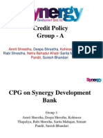 Credit Policy Guidelines