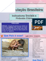 População Brasileira - Indicadores Sociais e Pirâmide Etária