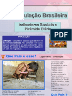 População Brasileira -Indicadores Sociais e Pirâmide Etária