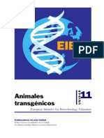 Animales Transgenicos