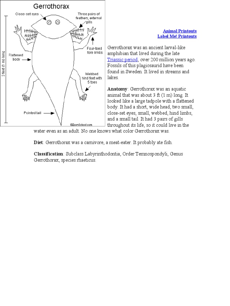 Gerrothorax: Ancient Aquatic Amphibian | PDF