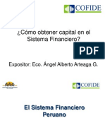 2-Como Obtener Capital en El Sistema Financiero