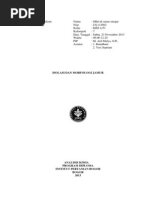 Download ISOLASI DAN MORFOLOGI JAMURdocx by Mhd Aliaman SN193849246 doc pdf