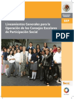 lineamientos generales