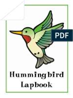 Hummingbirds Complete