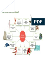 RESUMEN 1 - Qué Estudian Las Ciencias Biológicas