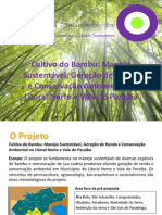 Apresentação Manejo Bambu - Ecos Omni (1)