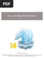 Salesforce Migration Guide