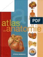 Atlas Anatomie Umana