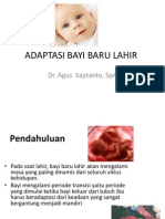 Adaptasi Bayi Baru Lahir