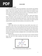 Download Makalah Alkaloid by Meilinda Asri Swantari SN194155161 doc pdf