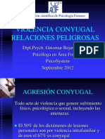 Violencia Conyugal Peligrosa