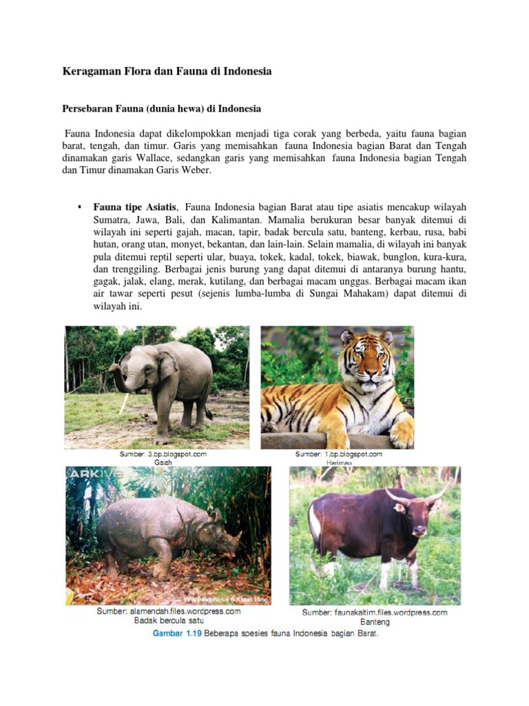  Gambar  Fauna  Di Indonesia  Bagian  Barat  Tengah Dan Timur 