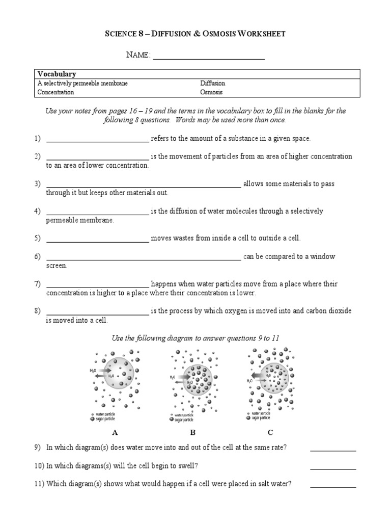 Diffusion Osmosis Worksheet  PDF   Osmosis  Biology Pertaining To Diffusion And Osmosis Worksheet