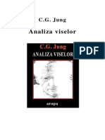 Jung - Analiza Viselor