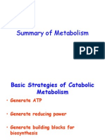 Summary of Metabolism Lecture