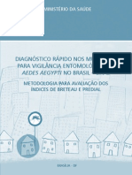 Diagnóstico Rápido nos Municípios - Aedes