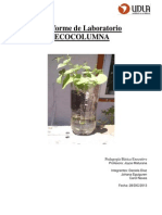 Pauta Informe de Ecocolumna EDU705