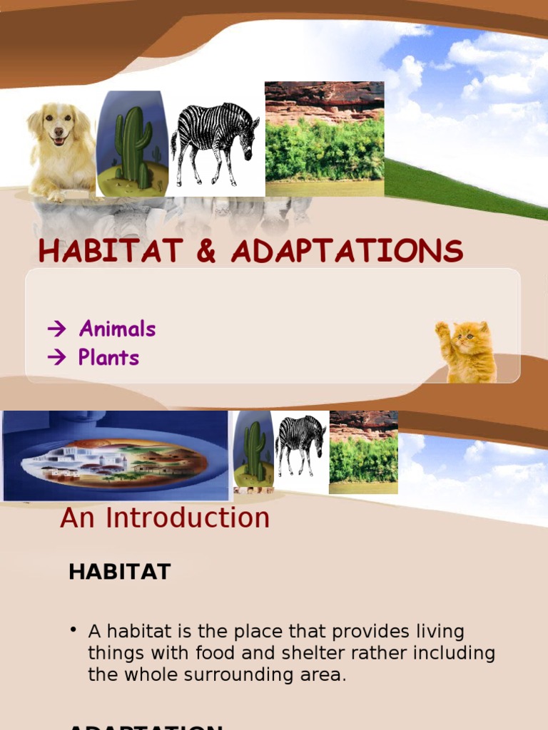 Habitat & Adaptations_pp Habitat Plants