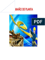 4 Tamano de Planta Dsi