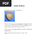 Download Tulang lutut by akhimichy SN194285761 doc pdf