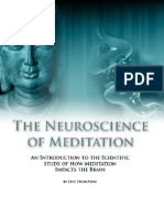 Neuroscience of Meditation - Chapter 2