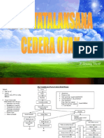 Alur Tatalaksana Cidera Otak (1)