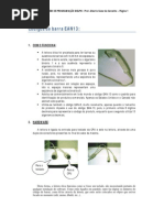 02 - Codigos de Barra