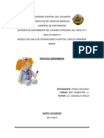 PROCESO ENFERMERO 2013.docx