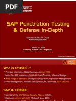 SAP Penetration Test Framework