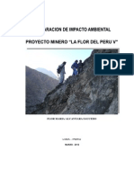 DIA Proyecto Minero La Flor Peru V