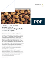 Castilla y León lidera la producción y la comercialización de patata de cali