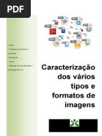 1 - Caracterização de vários tipos e formatos de imagens