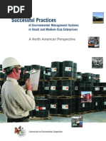 Successful Practices of Environmental Management Systems in Small and Medium-Size Enterprises