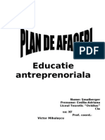 Plan de Afaceri Gradinita Privata