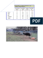 Avestruz tabela comparaçao.pdf