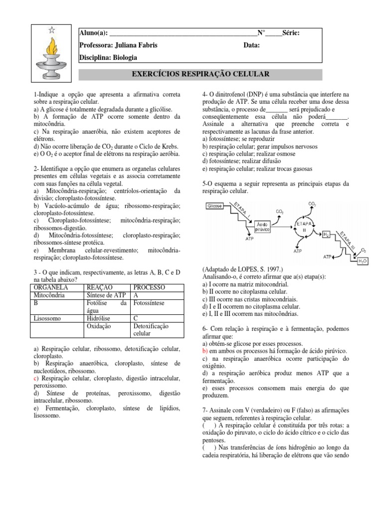 Exercícios sobre Respiração Celular | PDF | Respiração celular ...
