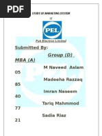Download Project of PEL by Nadeem SN19445410 doc pdf