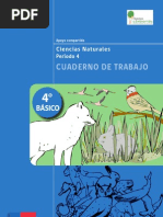 Cuaderno de Trabajo 4basico Periodo4 Ciencias Naturales (1)