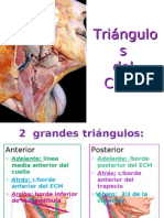 TRIANGULOS CUELLO