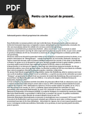 Totul Despre Rasa Rottweiler