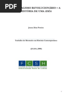 Sindicalismo Revolucionário - a história de uma idéa