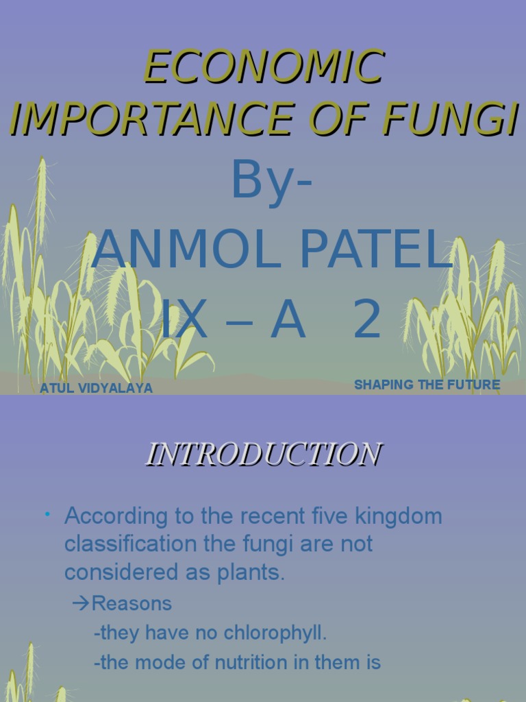 economic importance of fungi assignment