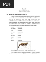 Download LAPORAN PENGALENGAN BAB II TINJAUAN PUSTAKApdf by Syafri Nurkhalish SN194667475 doc pdf